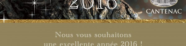 Voeux 2016 Texte & Image