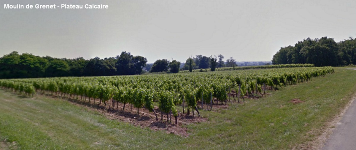 Plateau Calcaire, Lussac, France
