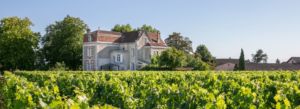 Château Cantenac, Saint-Emilion, France. Famille Roskam-Brunot.